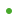 small green dot