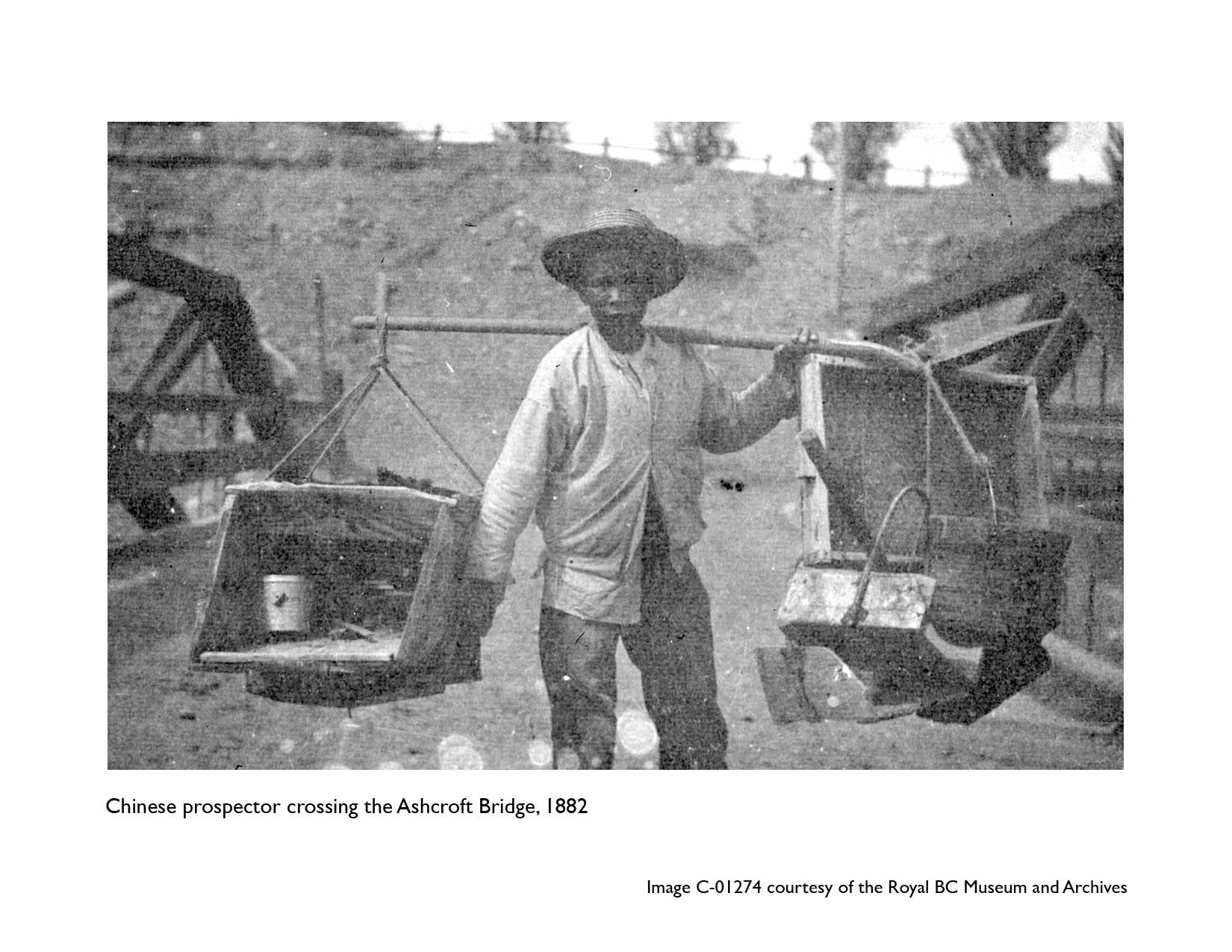 Bamboo Shoots Chinese Canadian Legacies in BC