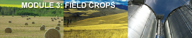 Module 3: Field Crops