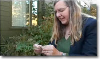 Dr. Nancy Turner Teachings of Respect - Launch Demo Slide Show