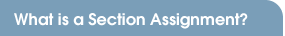 What is a Section Assignment?